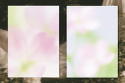Rosy Blush - Floral Backgrounds, a Texture Graphic by lerinartstudio (Thumbnail 7 of 14)