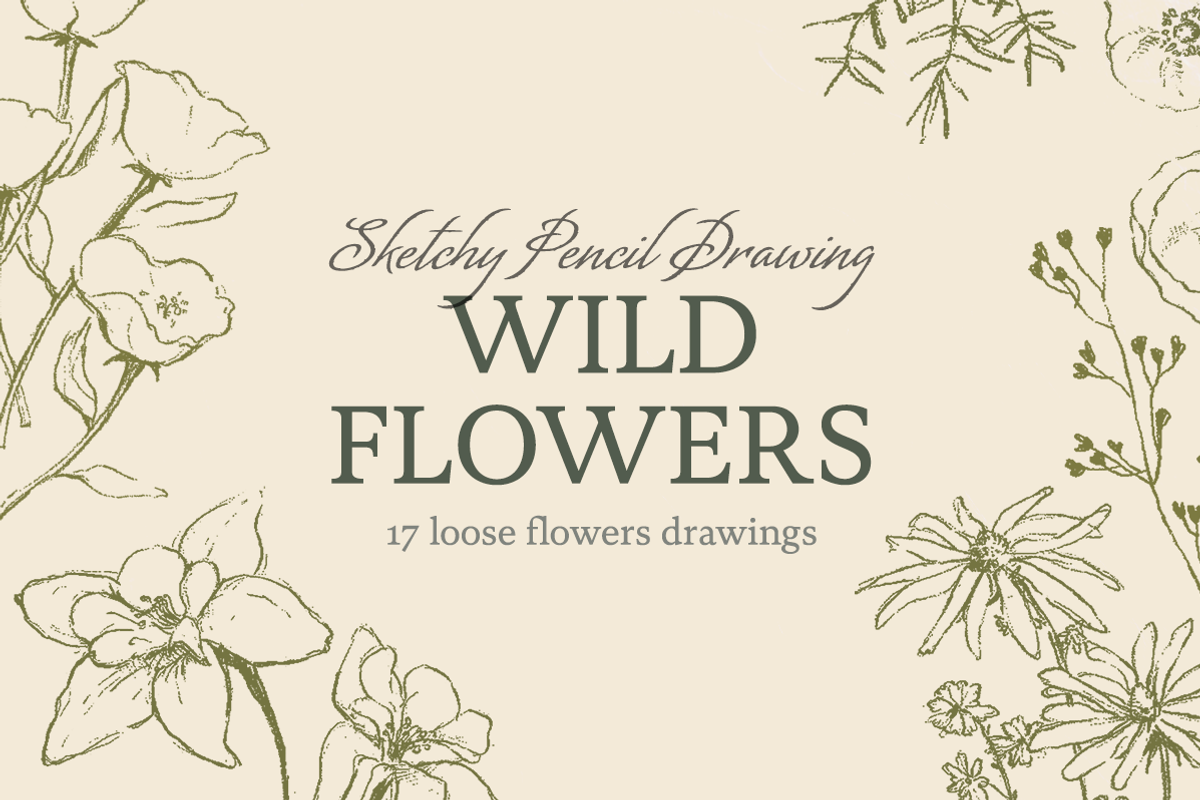 Sketchy Pencil Drawing Wildflowers, an Illustration by elpple (Photo 1 of 7)