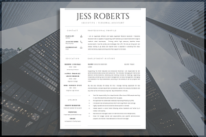 Professional CV Template Resume