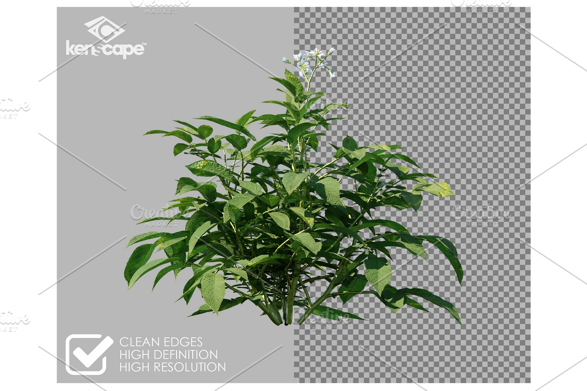 81 Farm Plants Photo Overlays, a Nature Photo by KenScape (Photo 2 of 3)