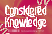 Fantastic Deception Font, a Serif Font by 177Studio (Thumbnail 6 of 9)