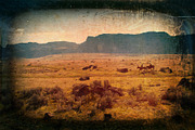 Vintage Vignettes, a Texture Graphic by Blue Line Design (Thumbnail 4 of 19)