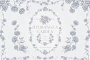 Hydrangea line art flowers, an Object Illustration by Sensual Art (Thumbnail 1 of 9)