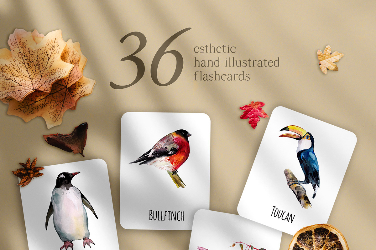 Birds activities for kids, an Animal Illustration by ArtSpotVeronika (Photo 2 of 6)