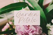 Mirage Silvesta, a Handwritten Font by Integritype Studio (Thumbnail 8 of 15)