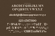 Mogilte Modern Ligature Serif, a Script Font by Storytype Studio (Thumbnail 13 of 15)