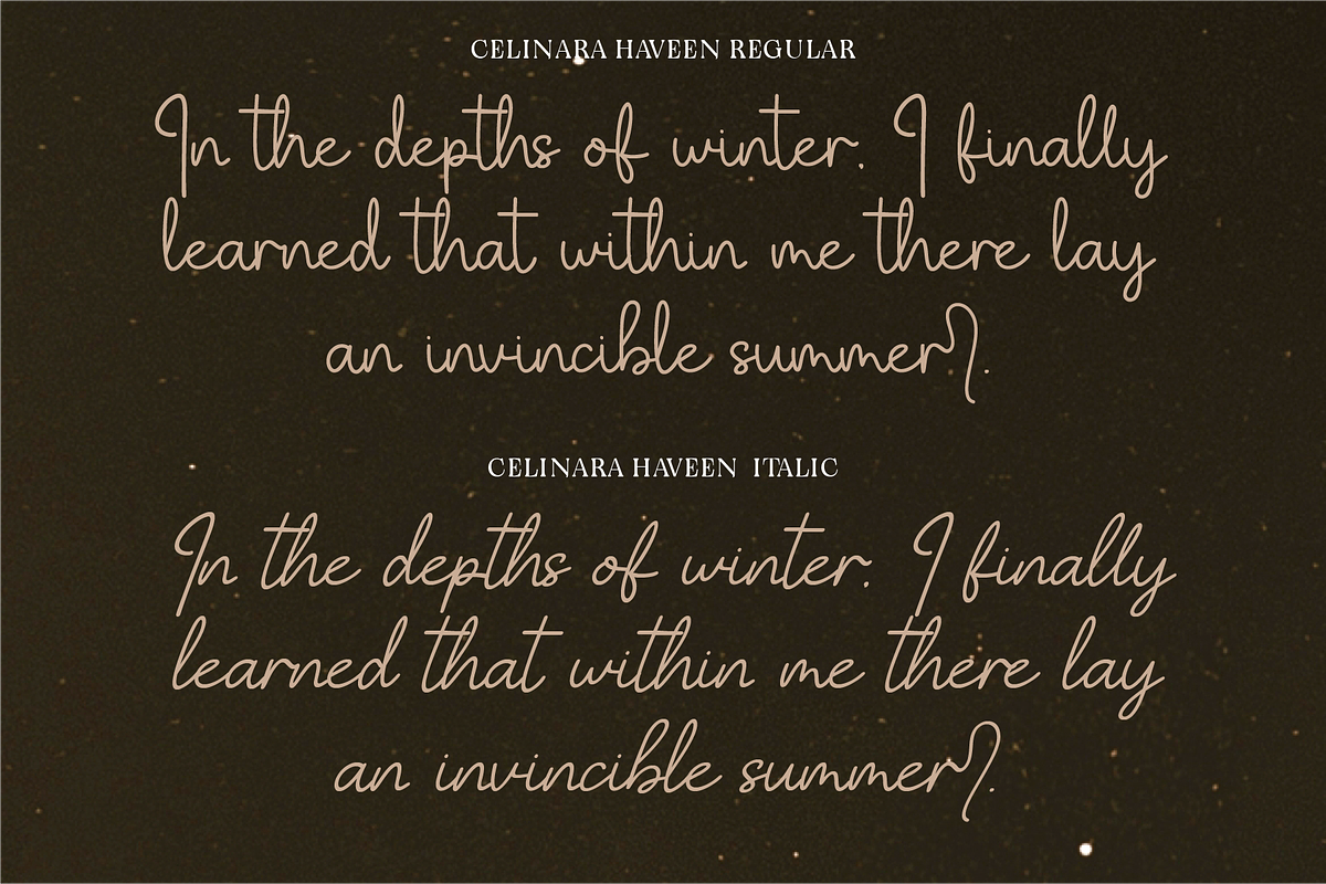 Celinara Haveen, a Handwritten Font by Indotype Foundry (Photo 6 of 10)
