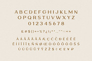 Wawona | Vintage Display Sans Serif, a Sans Serif Font by Daniel Neuman (Thumbnail 2 of 5)