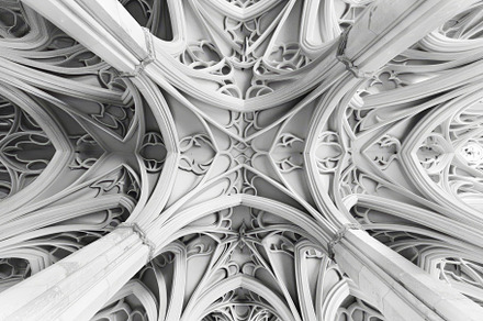 Black and white view of the detailed, a Photo by Iftikhar Alam