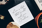 Anticka Whitnes Beauty Script Font, a Script Font by Storytype Studio (Thumbnail 9 of 15)