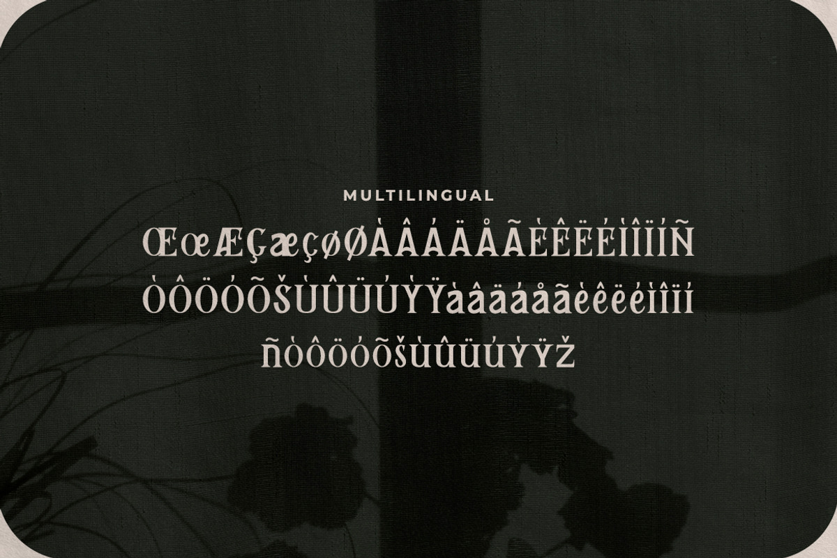 Remily - A Classy Serif Font, a Serif Font by Typefactoryco (Photo 4 of 10)