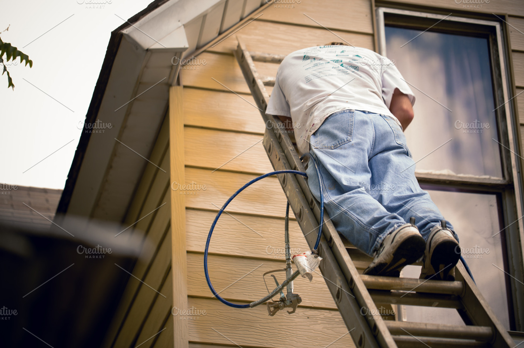 Painting A House