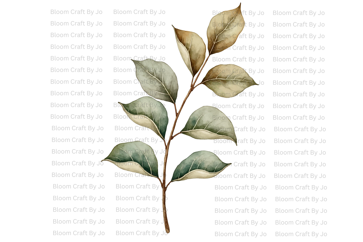 Dried Eucalyptus Branches, a Decorative Illustration by Bloom Craft Creations (Photo 10 of 10)