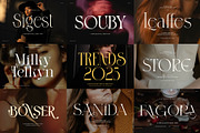 100+ Premium Serif Font Bundle, a Serif Font by Graphicxell (Thumbnail 12 of 12)
