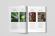 Everyday Veggies Recipe Book, a Magazine Template by SonaGeciova (Thumbnail 8 of 17)