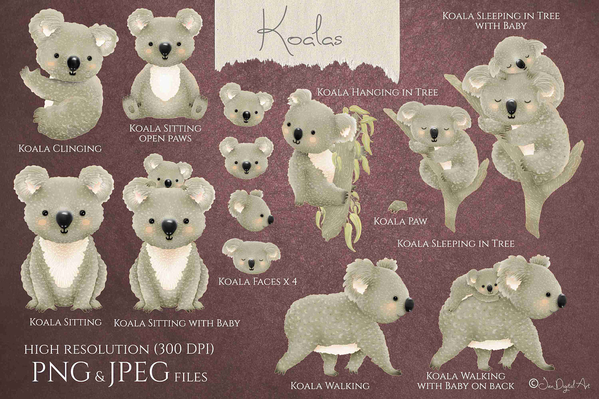 Koalas Collection | 22 Elements, an Animal Illustration by Jen Digital Art (Photo 2 of 7)