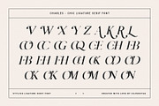 Charles - Ligature Serif Font Family, a Serif Font by SilverStag Type Foundry (Thumbnail 27 of 32)