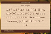Bikoma | Luxury Serif, a Serif Font by ClevUs (Thumbnail 12 of 12)
