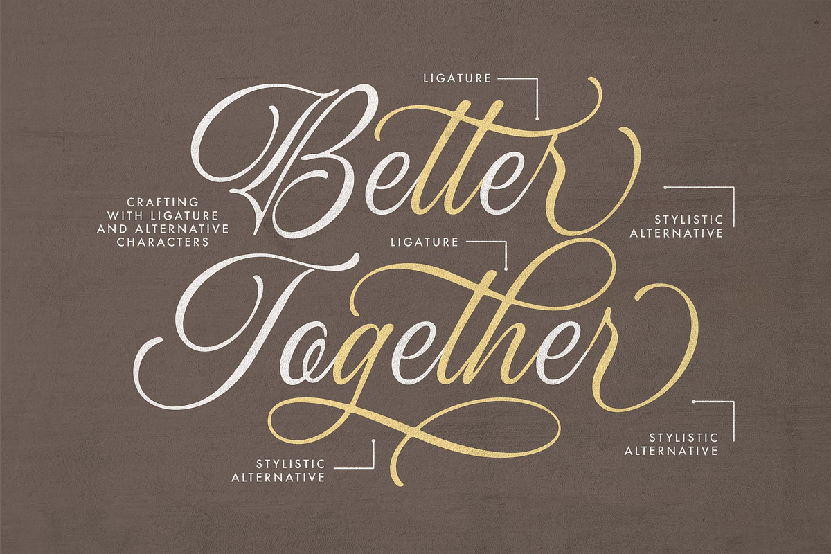 Ocean Delight a Stylish Script Font, a Script Font by Blankids Studio (Photo 12 of 13)