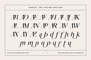 Charles - Ligature Serif Font Family, a Serif Font by SilverStag Type Foundry (Thumbnail 30 of 32)