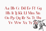 Faradize - Elegant Serif Font, a Serif Font by RockboyStd (Thumbnail 10 of 12)