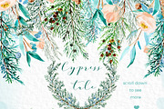 Cypress. Watercolor clipart, a Decorative Illustration by LABFcreations (Thumbnail 3 of 12)