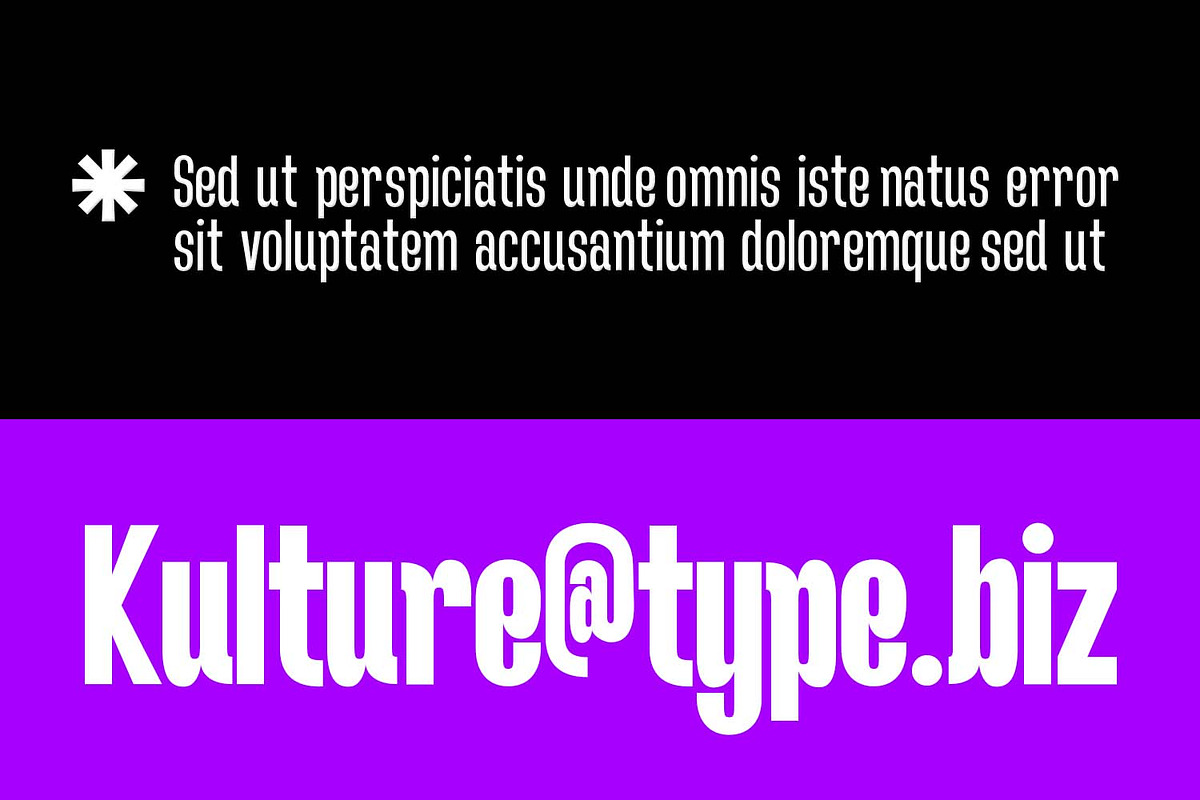NorthBay Grotesk, a Sans Serif Font by Foxtype (Photo 4 of 7)