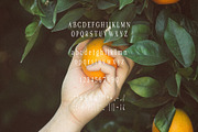 PERPLEX - Condensed Serif Typeface, a Serif Font by Schrifted Type (Thumbnail 7 of 8)