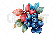 Watercolor Berries Clipart, an Illustration by Craft Nest (Thumbnail 10 of 12)