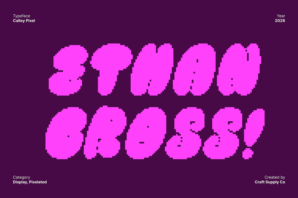 Calley Pixel, a Sans Serif Font by Craft Supply Co. (Photo 2 of 8)