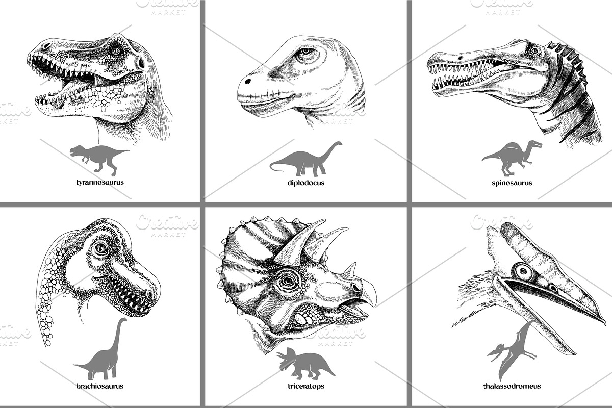 Hand drawn dinosaurs set, an Animal Illustration by handsketched (Photo 5 of 9)