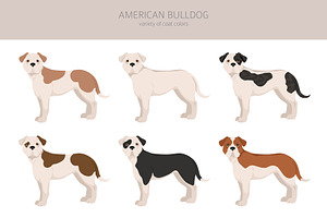 American Bulldog Clipart