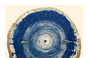Natt Collection · Organic Tree Rings, a Texture Illustration by milatovar (Thumbnail 14 of 19)