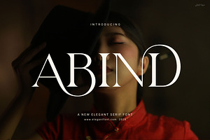 Abind Modern Serif Font, a Serif Font by Elegant Font
