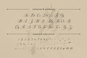 Soralize - A Modern Calligraphy Font, a Script Font by Almeera Std (Thumbnail 2 of 10)