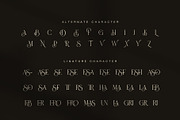 Biges Elegant Serif Font, a Serif Font by Graphicxell (Thumbnail 8 of 8)