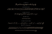 Amstardam | Modern Script Font, a Script Font by Banyumili Studio (Thumbnail 6 of 6)