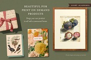 BUNDLE: 600 Academia Ephemera, an Object Graphic by The Object Atlas (Thumbnail 4 of 16)