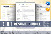 Professional Resume Template Bundle, a Resume Template by HIRED Design Studio (Thumbnail 1 of 13)