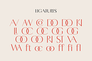 Porte — Elegant Display Font, a Sans Serif Font by Eugene Tantsurin (Thumbnail 11 of 15)