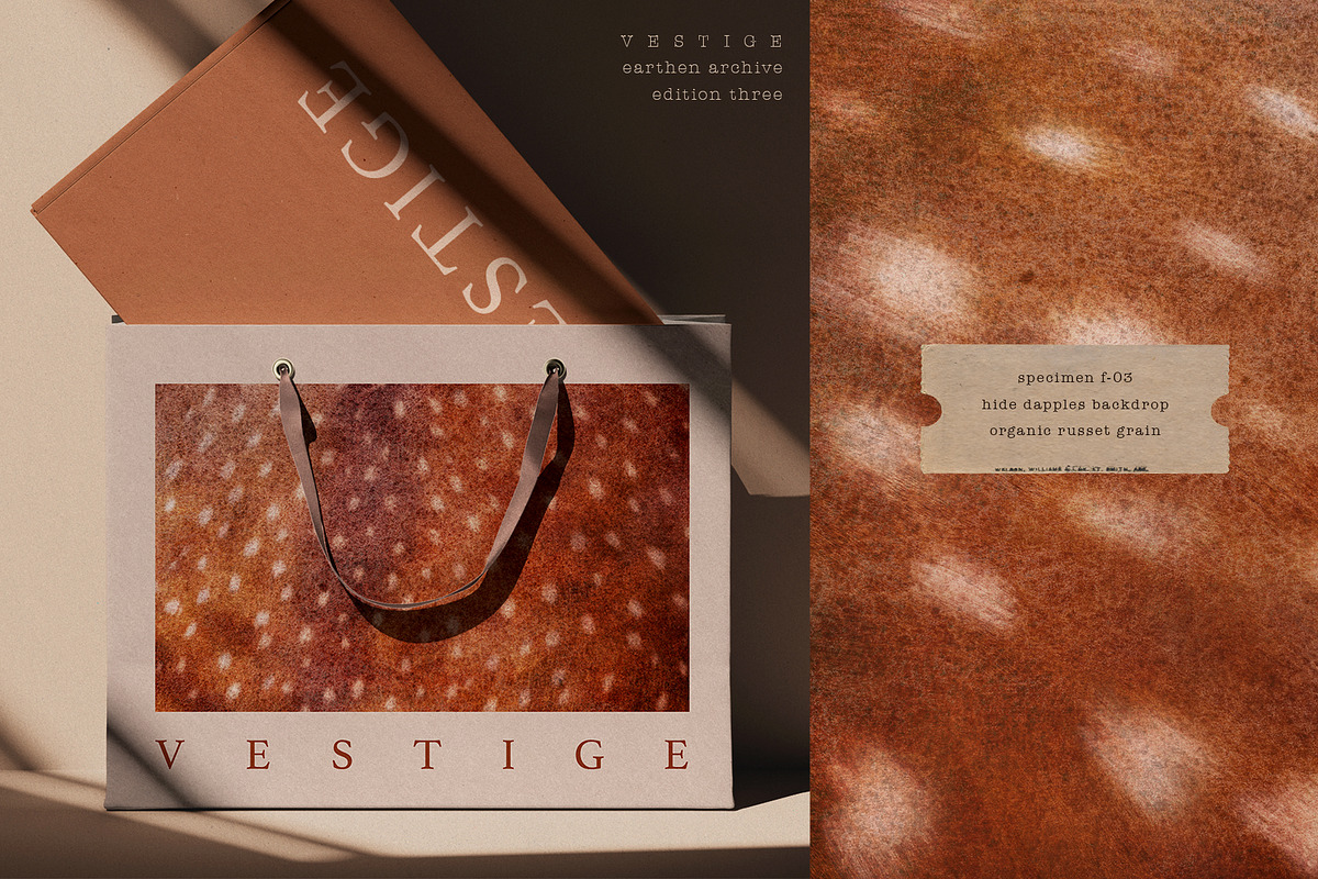 Vestige · Organic Backgrounds, a Background Graphic by alonahaidash (Photo 7 of 14)