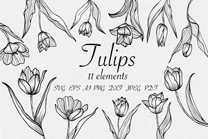 Tulips set SVG