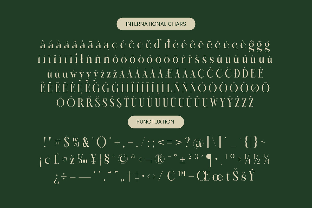 Karosa Modern Serif Display Font, a Serif Font by timelesstype.co (Photo 19 of 20)