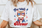 4Th of July Sublimation Png Bundle, an Illustration by SinaCreation (Thumbnail 7 of 20)