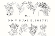 Birth Month Flowers SVG - PNG, a Decorative Illustration by AW Studios (Thumbnail 5 of 11)