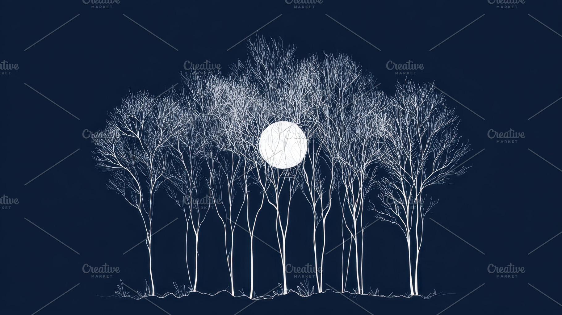 Moonlight shines on trees at night, a Photo by Beautiful things