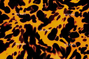 Blown Tortoiseshell Seamless Pattern, a Pattern Graphic by Leysa Flores (Thumbnail 4 of 10)