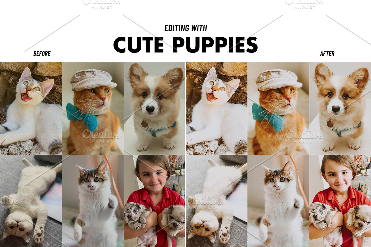 All Shop Bundle - Lightroom Presets, an Action Add-On by Best Lightroom Presets (Photo 12 of 31)
