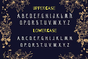 Victorian - Vintage Display Font, a Serif Font by GearShift (Thumbnail 3 of 4)