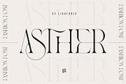The Modern Typography Bundle, a Serif Font by Ivan Rosenberg (Thumbnail 33 of 58)